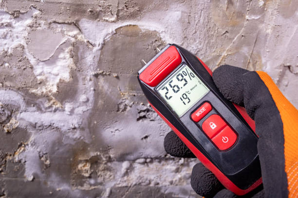 Best Best Mold Removal Companies  in Fremont, OH