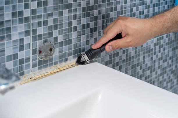 Best Mold Damage Repair  in Fremont, OH